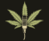 Unscripted Cannabis